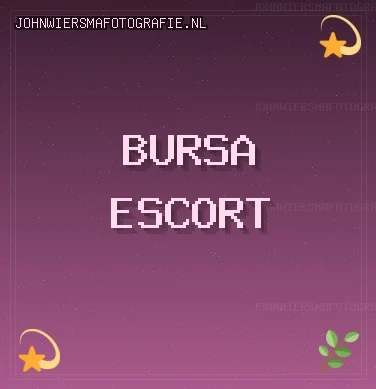 Bursa Escort: Gürsu Escort, Harmancık Escort, Nilüfer Escort